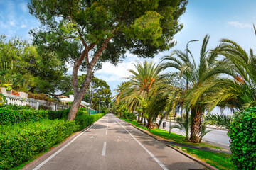 Fototapeta premium Coastal Cycling Path with Palm Trees in Sanremo, Italy