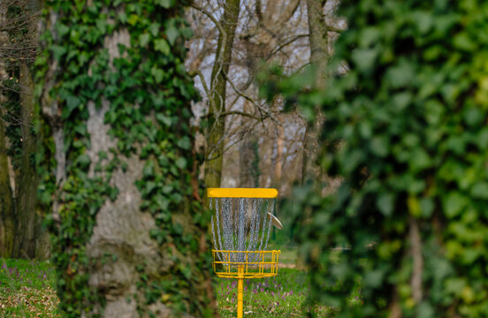 Discgolf basket with flying disc in the park between trees