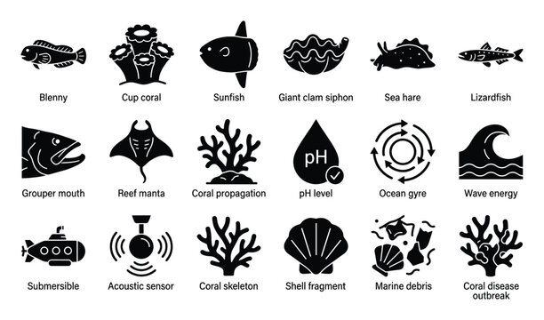 Comprehensive collection of marine life and ocean environment glyph icons representing underwater species scientific research and ecological conservation for educational and infographic use