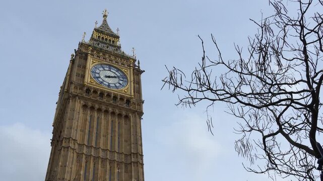 Big Ben clock tower in London with tree branches in the foreground. Close-up view showing the clock face and tower details against the sky