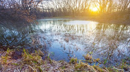 small calm lake in the forest at the sunset, quet outdoor scene © Yuriy Kulik