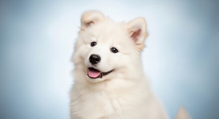 Fototapeta premium A white Samoyed dog with a fluffy coat and a friendly expression, standing in a grassy field with trees in the background.