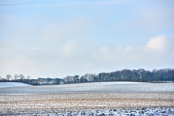 Naklejka premium Landscape, farmland and field with snow in nature for agriculture, dormant crops and winter season. Space, sky or climate change with frost for soil moisture, seasonal farming and planting disruption
