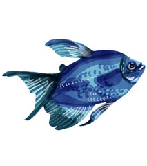 Watercolor Dark Blue Tropical Fish Illustration, Aquarium Animal Clipart © handdrawn