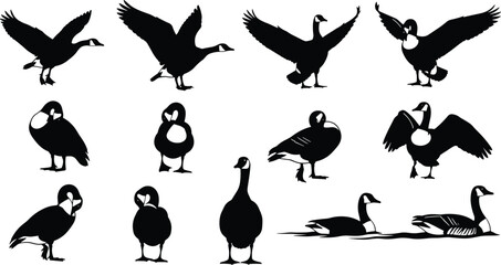 Canada goose silhouette vector collection, black and white geese flying standing and swimming poses, detailed waterfowl wildlife illustration set © Hello World