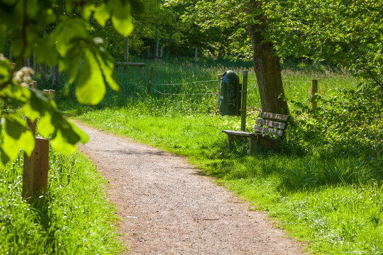Weg in einem Park mit Sitzbank und Papierkorb, Deutschland
