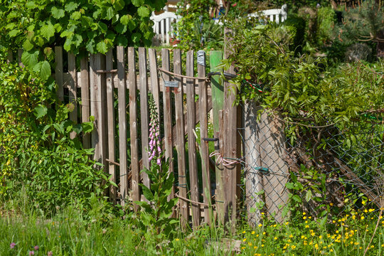 Gartenzaun mit Blumen und Pflanzen, Deutschland