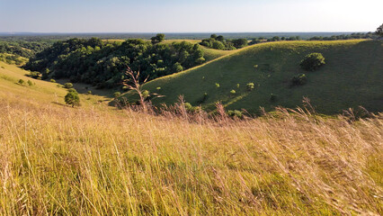 Naklejka premium Tranquil sunny summer landscape with green fields and hills in south-eastern Europe, Serbia.