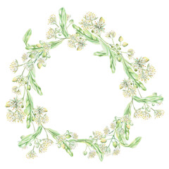 Fototapeta premium Wreath of linden blossoms. Isolated watercolor illustration for design of pharmaceutical, cosmetic, eco-friendly products and beverages, food products.