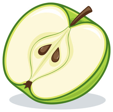 Fresh vibrant green apple half illustration showing seeds and juicy core for healthy eating concepts