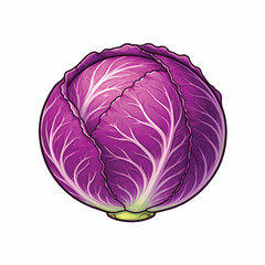 Obraz premium red cabbge icon white background.