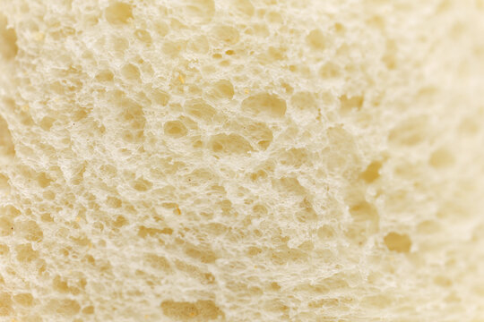 Piece of toast bread showing texture under close up view