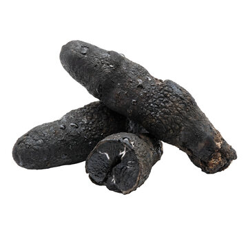 Fresh black oca root tubers isolated on white background, traditional Andean root vegetable