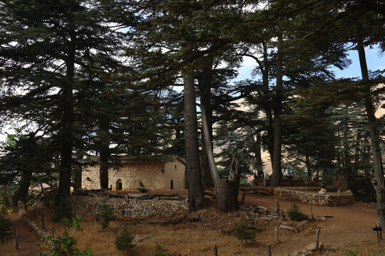 Church of the Lord in the Cedars Forest, Lebanon
