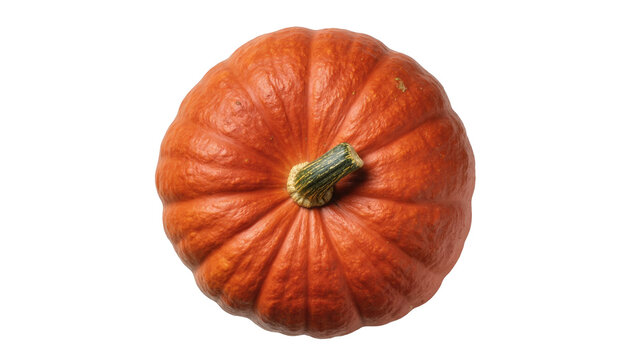 Fresh whole orange pumpkin with green stem, ideal for autumn, Halloween, and Thanksgiving