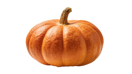 Obraz premium Vibrant orange pumpkin with a textured surface and brown stem, perfect for autumn harvest