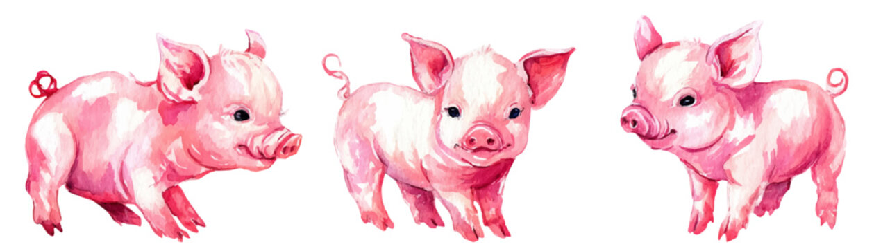 Watercolor illustration of three cute pink piglets standing together, charming farm animal artwork, playful baby pigs isolated on white background