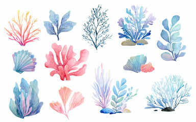 Watercolor corals and seaweeds creating an underwater marine life collection, portraying vibrant ocean flora and aquatic nature on a clean white background © Narin