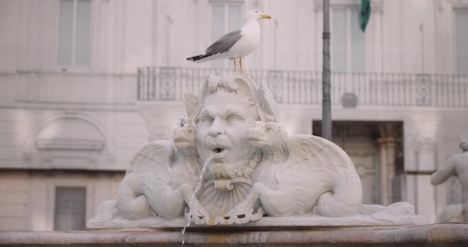 Clos up of Fontana del Moro
in Roma.
