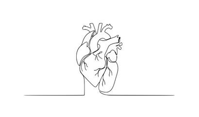 Fototapeta premium Minimal One Line Human Heart Silhouette – Continuous Line Medical Icon Vector