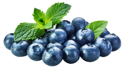 Sweet ripe organic blueberries with refreshing mint leaves, healthy and delicious summer fruit © Rowan