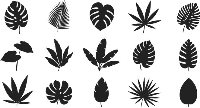 Collection of diverse tropical leaf silhouettes