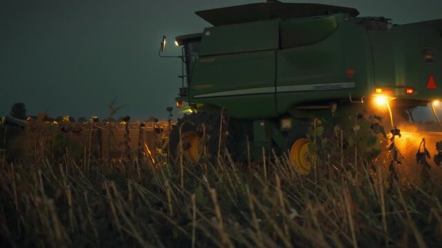 A modern combine harvester works in a sunflower field as dusk falls. The machine's headlights illuminate the surroundings. The urgency of the harvest signals the approach of the rainy season