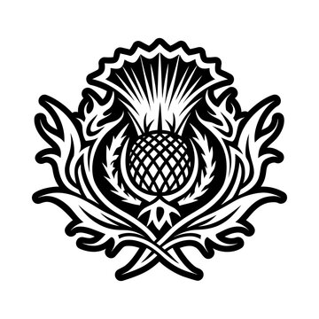 A solid style icon of thistle tattoo symbol