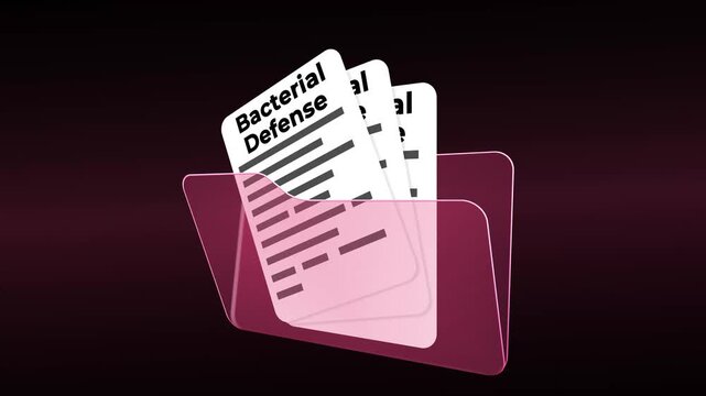 Bacterial Defense Medical Research Folder, Antibacterial Response Patient Records and Immunology Analysis Documentation in Red Folder