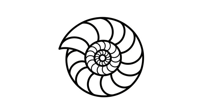 Black and white outline of a nautilus shell, showcasing its spiraling chambers