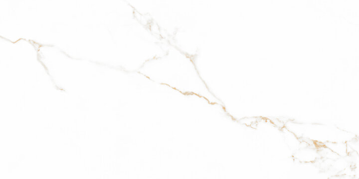 Calacatta gold marble stone texture.