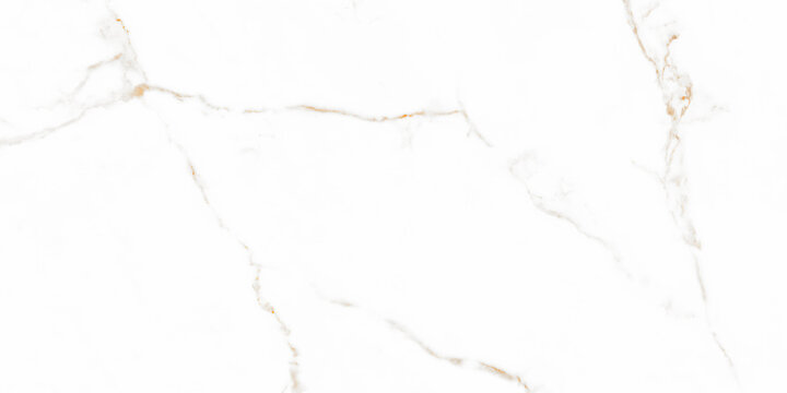 Calacatta gold marble stone texture.