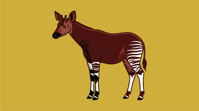 Okapi Animal Brown Striped Mammal.