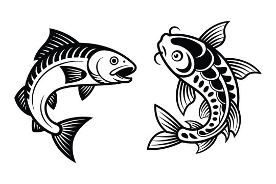 Black and white of two zebras facing each other animal