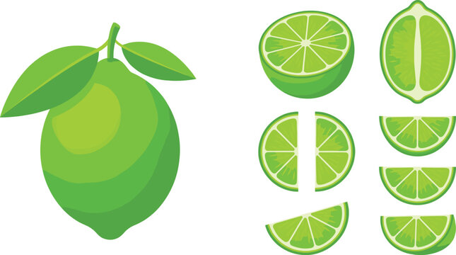 Fresh lime fruit flat vector illustration set with whole, half, and sliced green lemons isolated,