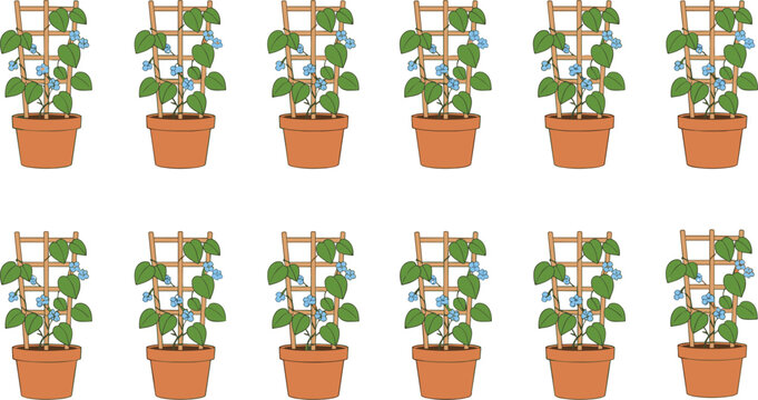 Potted flowering plants with trellis support and blue blossoms in botanical growth pattern vector illustration