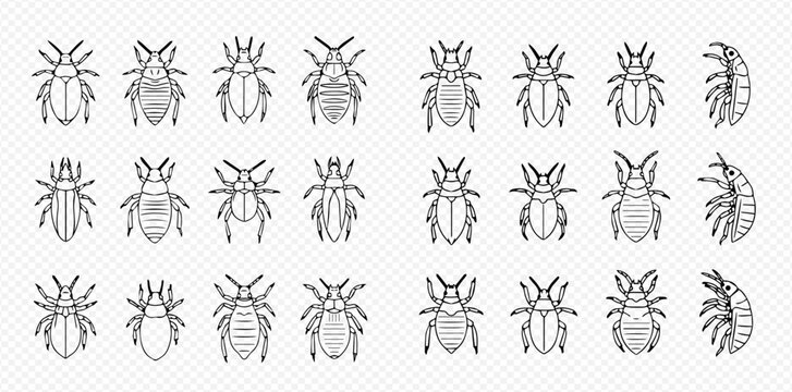 Set of various lice and ticks vector line icons, parasitic insects collection, pest control symbols.