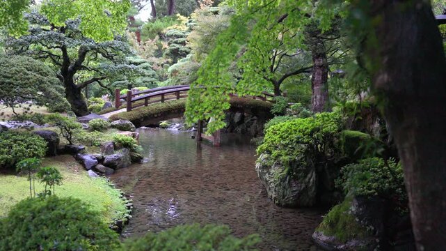 Wooden arched bridge over calm pond surrounded by lush greenery and Japanese maple momiji trees in Kyoto Japan