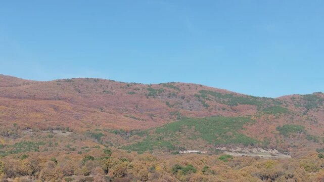 Drone flight moving laterally and ascending over a mixed forest on mountain slopes. Chestnut trees predominate, with green areas of pine trees and oaks, all under a clear blue sky.