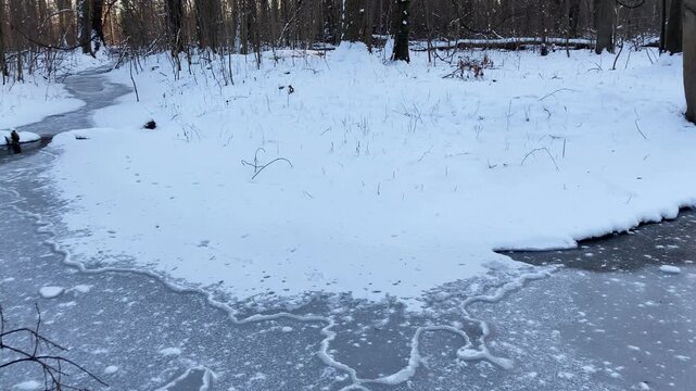 A small stream winds its way through the winter forest