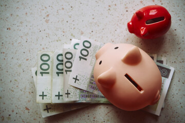 polskie banknoty i świnka skarbonka  © Marcin Łazarczyk