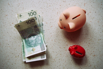 polskie banknoty i świnka skarbonka  © Marcin Łazarczyk