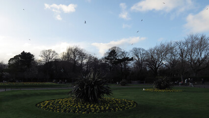 Dublin, Ireland.  St. Stephen's Green is a garden square and public park located in the city centre. The current landscape of the park was designed by William Sheppard.