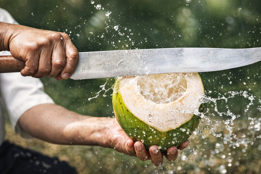 Street vendor slicing open fresh coconut with machete &ndash; tropical hydration and refreshment
