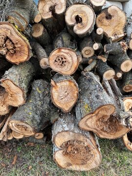 Close-up of cut tree logs stacked in a pile outdoors, showing bark, wood grain, and natural texture. Rustic timber background ideal for forestry, firewood, lumber, and organic material themes.