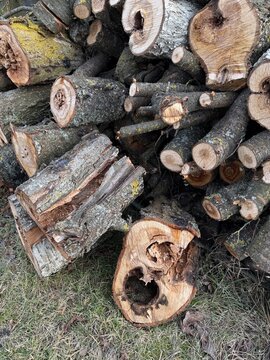 Close-up of cut tree logs stacked in a pile outdoors, showing bark, wood grain, and natural texture. Rustic timber background ideal for forestry, firewood, lumber, and organic material themes.