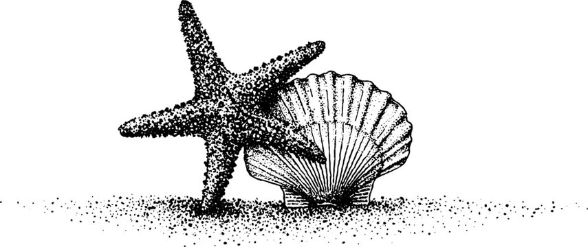 Vintage stippling art of starfish and pearl shell for coastal themed design