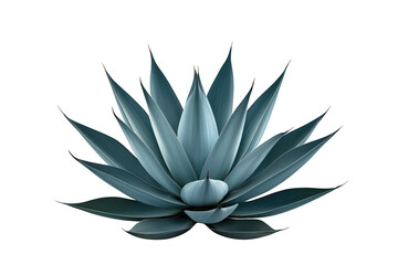 Blue agave plant with succulent spiky leaves illustrating botany, growth, natural beauty, and a desert concept, transparent background