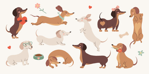 Hand drawn whimsical vector dachshund set in soft pastel palette with beige, brown and blush tones. Cute minimal dogs with playful poses. Perfect for stickers, cards, nursery decor and branding