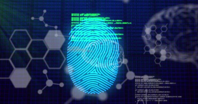 Animation of fingerprint, computer language, molecule structure, human brains on binary codes